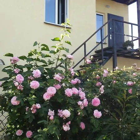 Bambukovyi Gai Apartment *