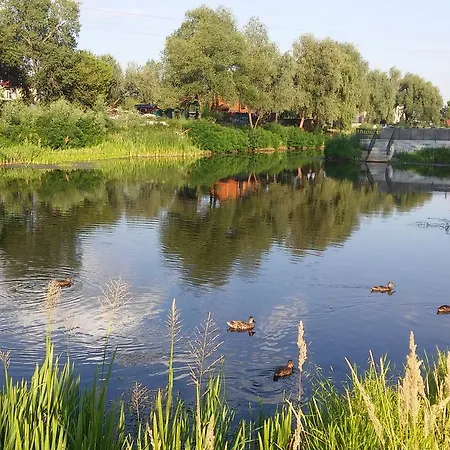 Bambukovyi Gai *